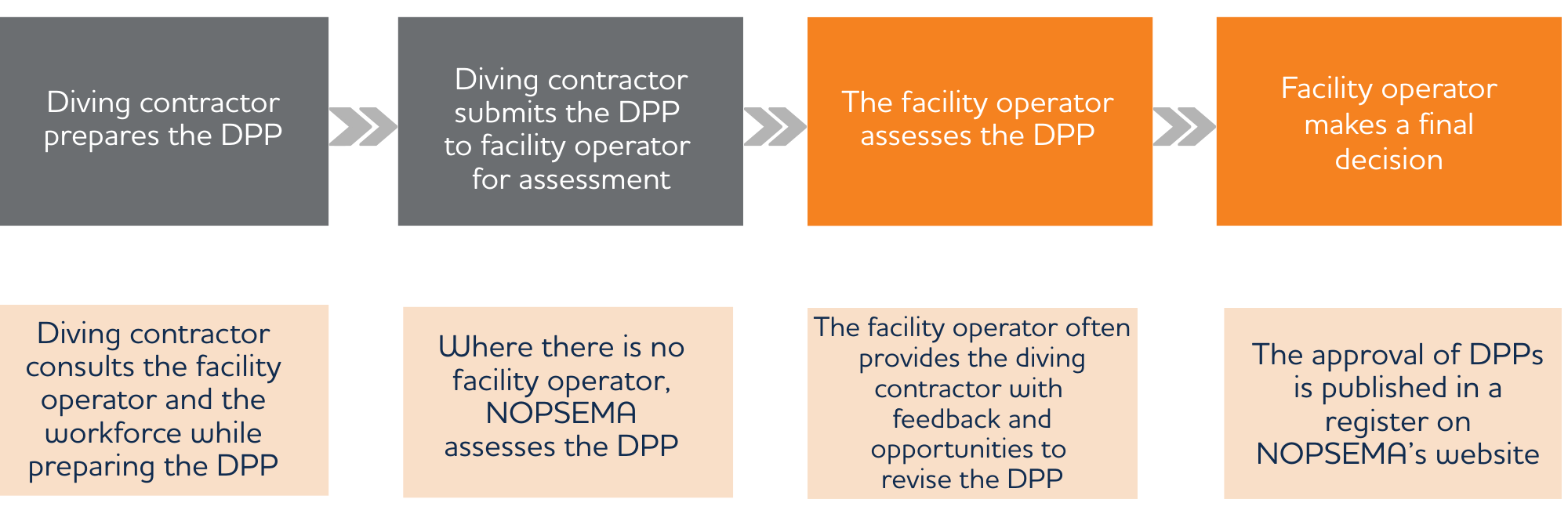 DPP assessment process