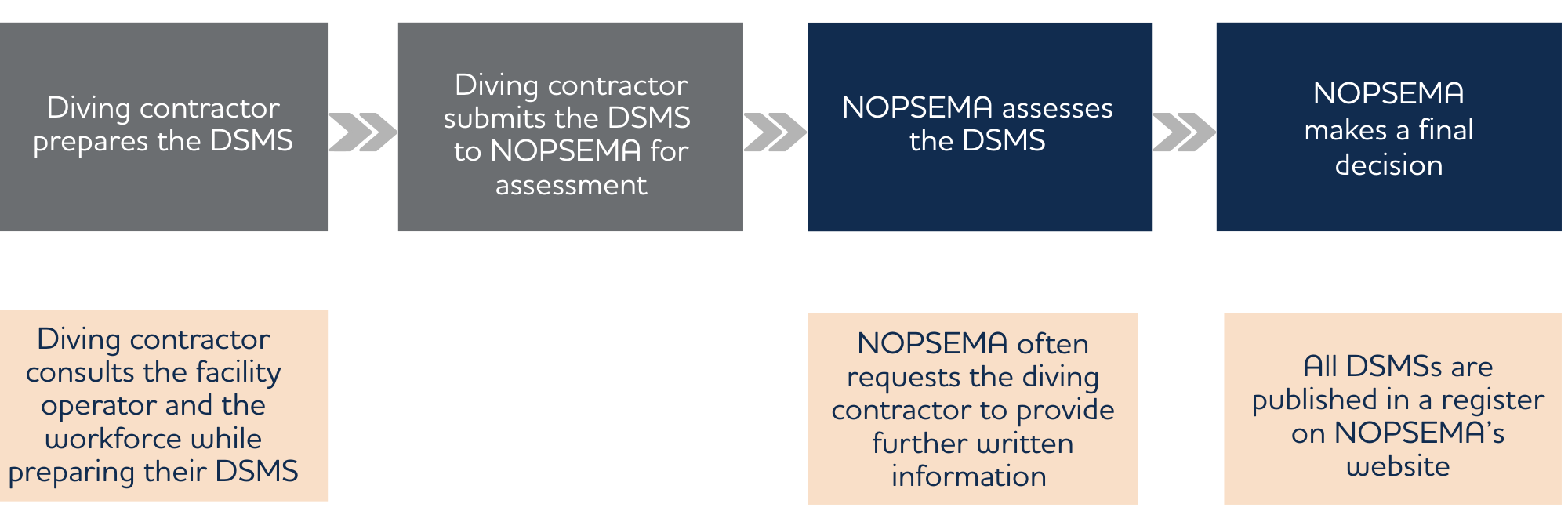DSMS assessment process