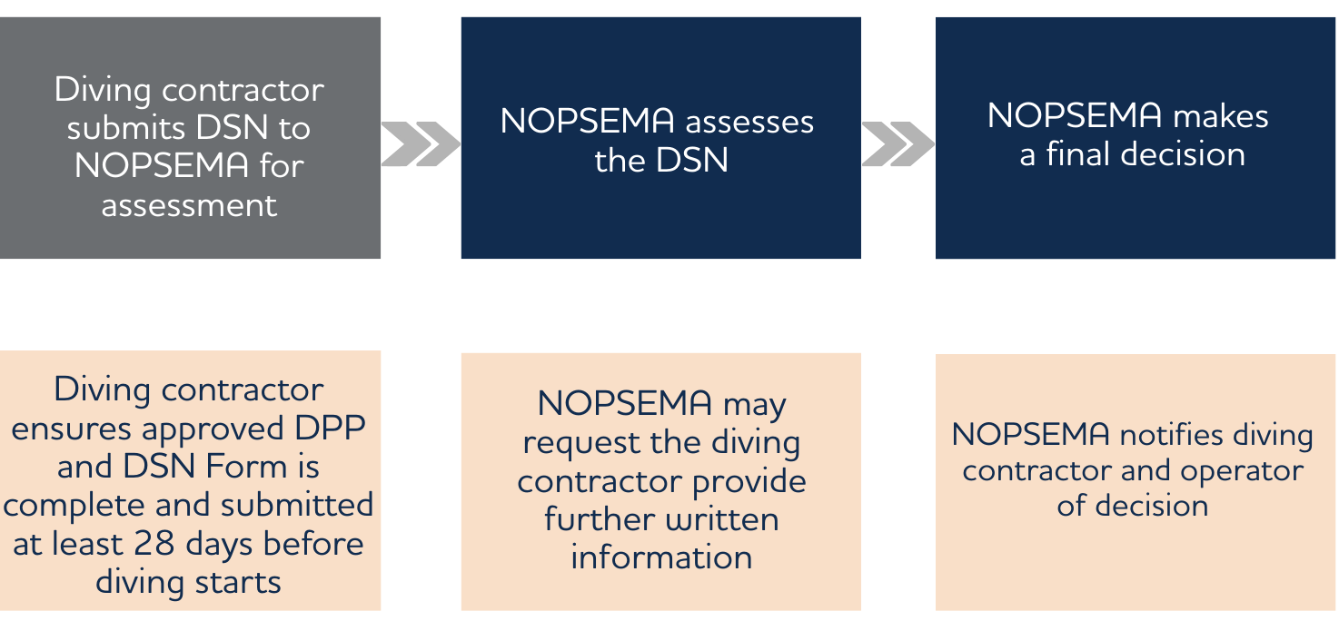 DSN assessment process