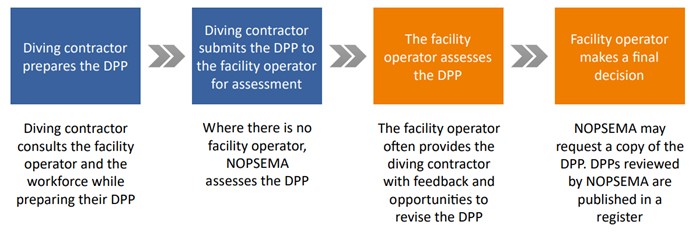 DPP assessment process