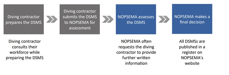 DSMS Assessment process