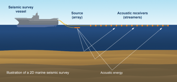 seismic survey graphic